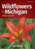 Wildflowers of Michigan Field Guide (Wildflower Identification Guides)