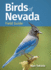 Birds of Nevada Field Guide (Bird Identification Guides)
