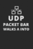 Udp Packet Bar Walks a Into: Administrator Grid Paper Notebook for Sysadmin / Network Or Security Engineer / Dba in It Infrastructure / Information Systems
