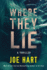 Where They Lie: a Thriller (Nora McTavish)