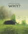 Why? : a Timeless Story Told Without Words