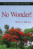 No Wonder! : the Art of Creating a New World