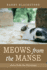 Meows From the Manse