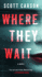 Where They Wait: a Novel