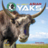 All About Asian Yaks (Animals Around the World: Asian Animals)