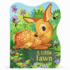 A Little Fawn: a Baby Deer Board Book