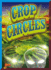 Crop Circles (Strange But True? )