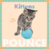 Kittens Pounce (Amicus Ink Board Books)