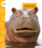 Hippos