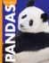 Curious About Pandas