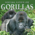 Social Lives of Gorillas (Animal Behaviors)