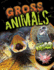 Gross Animals (Gross Me Out! )