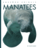 Manatees (Amazing Animals)