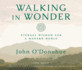 Walking in Wonder Format: Cd-Audio