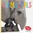 The Safari Circle: Animal Pals: Lift the Flap