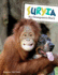 Suryia: An Orangutan's Story