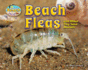 Beach Fleas and Other Tiny Sand Animals (Day at the Beach: Animal Life on the Shore)