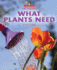 What Plants Need (Beginning-to-Read, Read and Discover-Science)