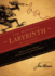 Jim Henson's Labyrinth: the Novelization Format: Paperback