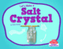 Let's Make a Salt Crystal (Make Your Own)