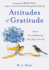 Attitudes of Gratitude: How to Give and Receive Joy Every Day of Your Life (Live Life to the Fullest Guidebook, Positive Thinking Book for Ultimate Happiness)