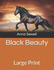 Black Beauty: Large Print Edition