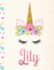 Lily: Personalized Unicorn Sketchbook for Girls With Pink Name-8.5x11 110 Pages. Doodle, Sketch, Create!