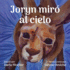 Joryn mir al cielo: Joryn Looked Up