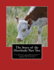 The Story of the Herefords: Part Two: The Origin and Development of the Herfordshire Breed of Cattle