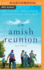 Amish Reunion, an