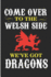 Come Over to the Welsh Side We'Ve Got Dragons: Wales Dragon Blank Lined Note Book