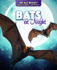 Bats at Night (Up All Night! Nocturnal Animals)