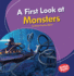 A First Look at Monsters Format: Paperback