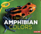 Crayola  Amphibian Colors (Crayola  Creature Colors)