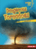 Dangerous Tornadoes Format: Paperback