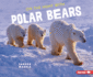 On the Hunt with Polar Bears