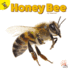Rourke Educational Media Ready Readers Honey Bee (Flying Insects)