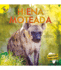 Hiena Moteada/ Spotted Hyena