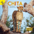 Chita/ Cheetah