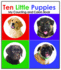 Ten Little Puppies, My Counting and Colors Book (Tiny Tutors)