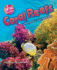 Coral Reefs: Undersea Rainbows (Aha! Readers)