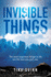 Invisible Things: the Most Important Things in Life Are the Ones You Can't See