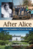 After Alice: Building a Foundation to Protect the Land