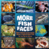 More Fish Faces: More Photos and Fun Facts About Tropical Reef Fish: 2 (Ocean Friends)