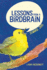 Lessons From a Birdbrain: Summer, Ohio