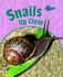 Snails Up Close (Raintree Perspectives: Minibeasts Up Close)