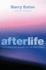 Afterlife: Uncovering the Secrets of Life After Death