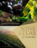 James Halliday's Wine Atlas of Australia