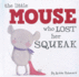 Little Mouse Who Lost Her Sque