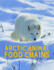 Arctic Animal Food Chains: English Edition